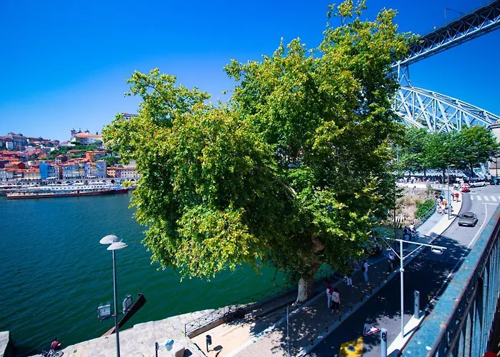 Nortesoul Porto A Vista Апартаменты