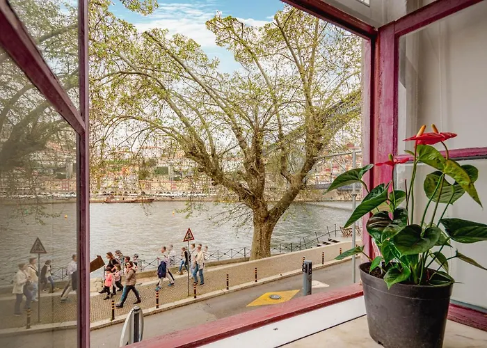 Nortesoul Porto A Vista