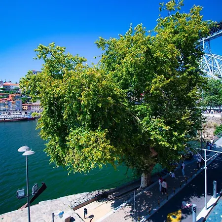 Nortesoul Porto A Vista Lejlighed